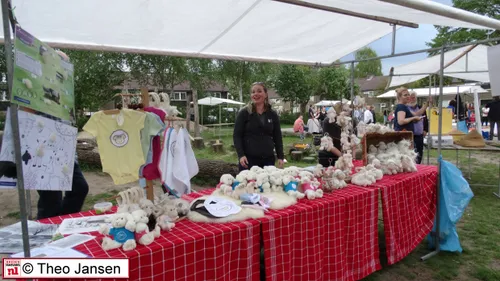 haverland 12 5 17 019