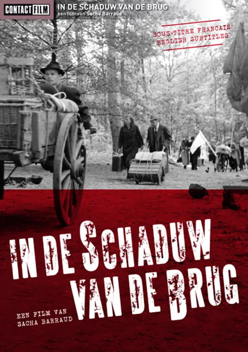 in de schaduw van de brug