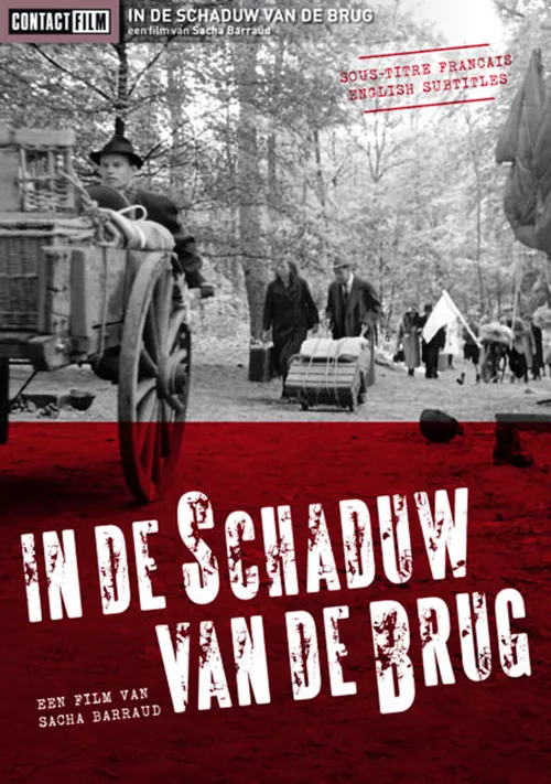 in de schaduw van de brug