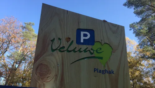 ivn wandeling de schaddeveld duinen marijke van delft 1