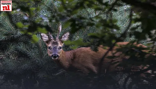 jlsonya714 augustus 20168670jpgfoto3