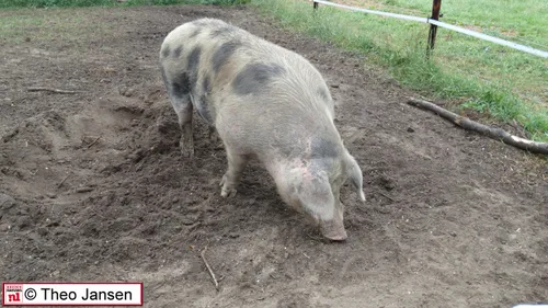 kappersweg 24 6 17 016