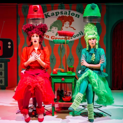 kapsalon den groenerooij