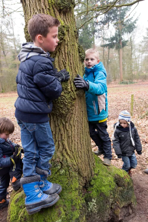 kids bij boom foto ton rottengarter
