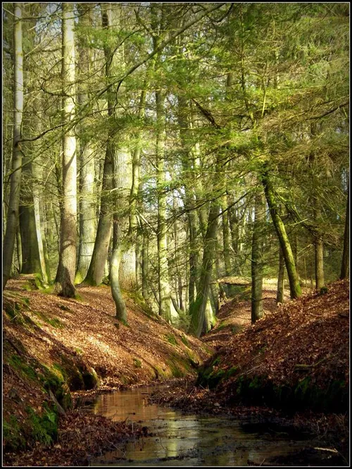 klein zwitserland trial beekhuizen 2