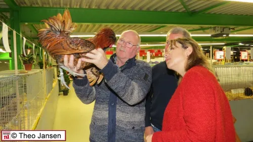 kleindierententoonstelling t nuthoen