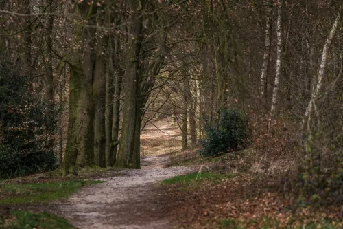 koningsberg rozendaal rob schouten1