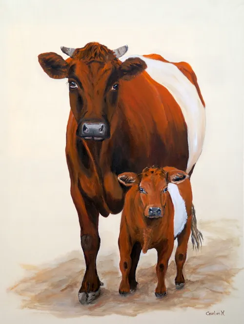 lakenvelder sarah met kalf star