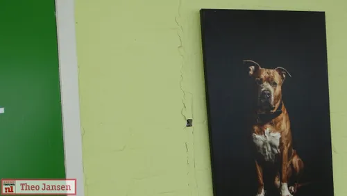 larensteinselaan 5 8 22 004