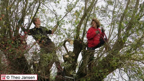 lathumse veerweg 7 11 15 008