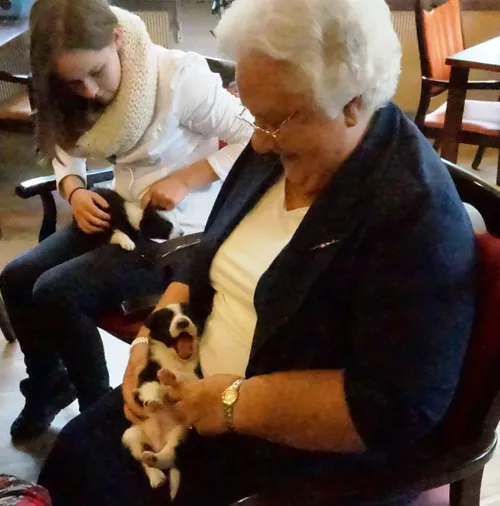 leerling bewoner en puppies