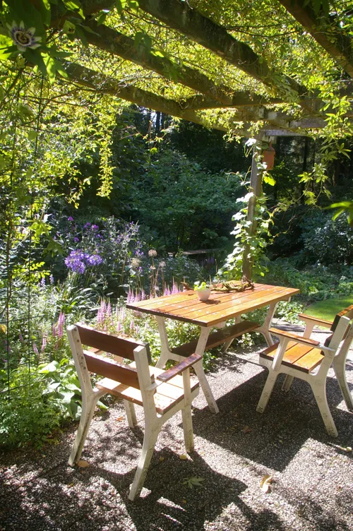 lezing els de weijer2 groei bloei veluwezoom