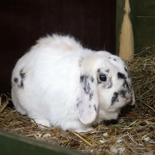 maggie 25388 en dirk 21596 2