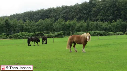 middachtenallee 6 12 16 001