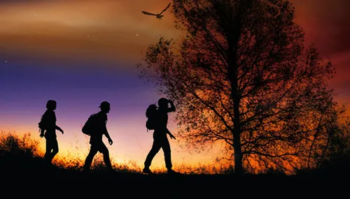 midzomernachtloop natuurmonumenten