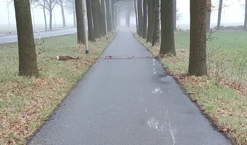 mysterieus ongeval scooter ree1