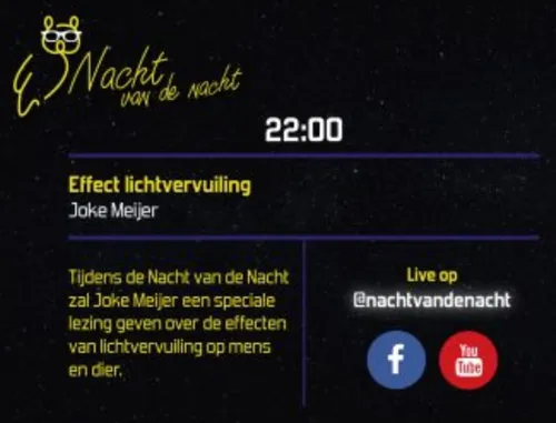 nacht van de nacht effect lichtvervuiling