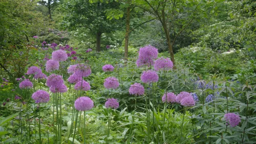 najaarsplantenruilbeurs1 groei bloei veluwezoom