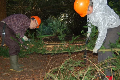 natuurwerkdag de valkenberg1