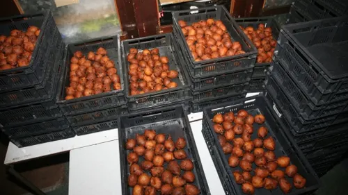 oliebollenactie march showband rheden 2018