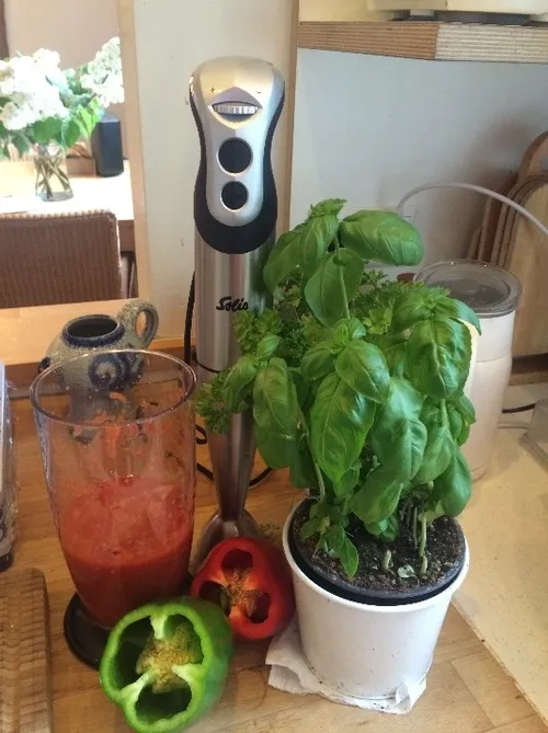 omelet3 e1464009061856