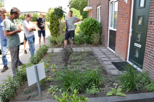 operatie steenbreek rheden marjanne eikelboom