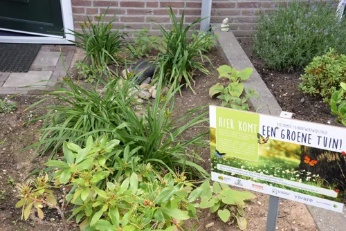 operatie steenbreek rheden2 marjanne eikelboom