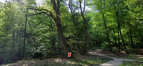 oude zomereiken beekhuizenseweg google maps