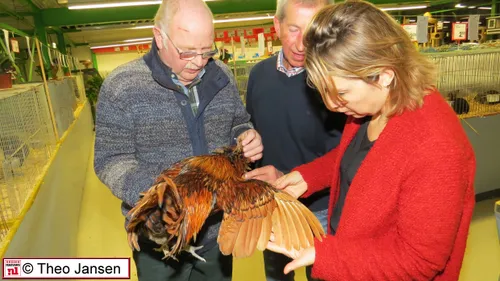 p callandweg 6 11 15 029