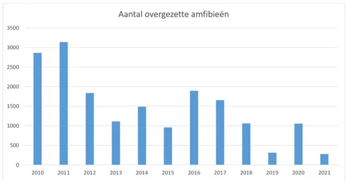 paddentrek anton logemann