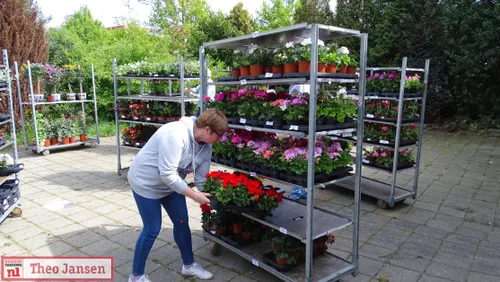 plantenactie rhedens fanfare corps 2019 4