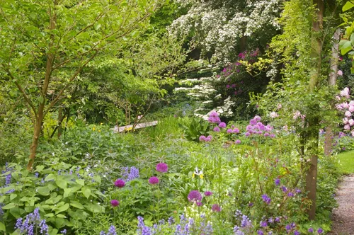 plantenruilbeurs groei bloei veluwezoom1