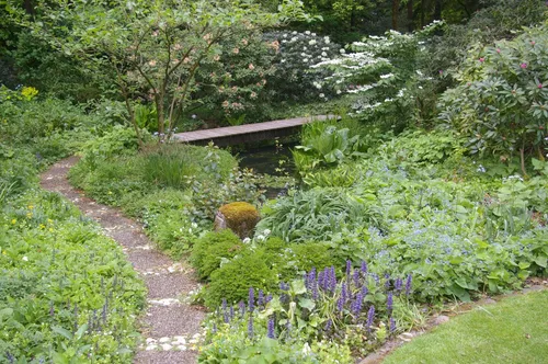 plantjesmarkt en demonstratie bloemschikken5