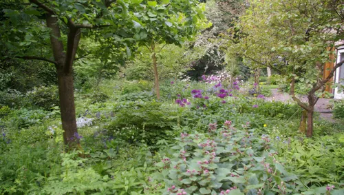 plantjesmarkt groei bloei veluwezoom tineke mc3a4kel2