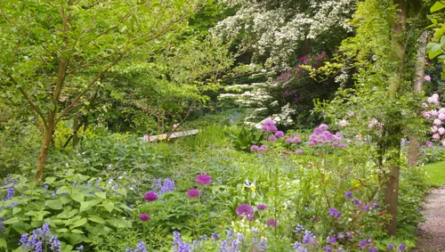 plantjesmarkt groei bloei veluwezoom tineke mc3a4kel3