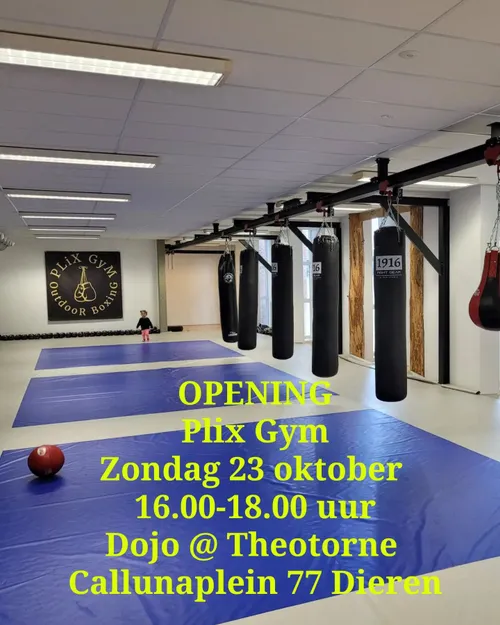 plix gym outdoor boxing1