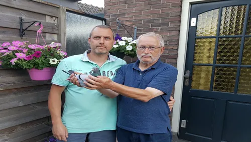 rbgerritsen sr jr duivenvereniging