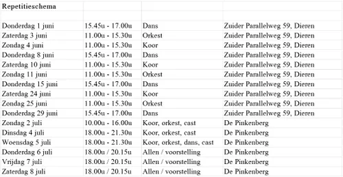 repetitieschema ann meander rhedelijk cultureel