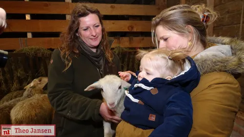 rhedens dorpsbelang adoptie 4 lammeren 2019 03 16 12