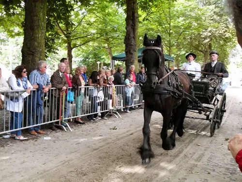 ringsteken te paard stichting velp voor oranje