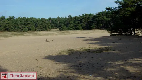 rozendaalse veld rhedennieuwsnl 1