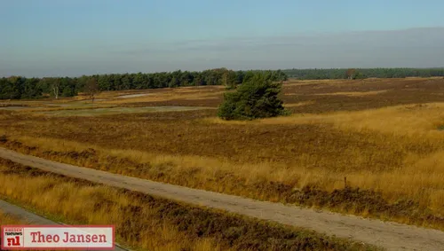 rozendaalse veld rhedennieuwsnl 3