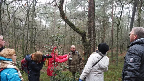 schaddeveld 02 corlene van den camp