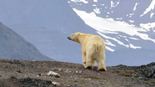 spitsbergen lezing martin idema2 renske idema
