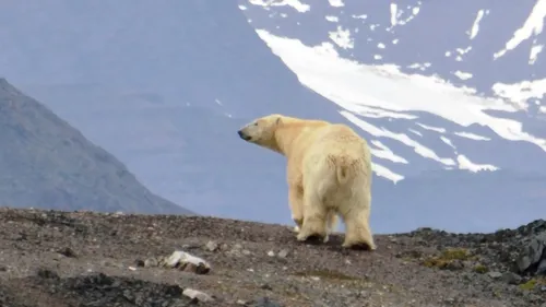 spitsbergen lezing martin idema2 renske idema