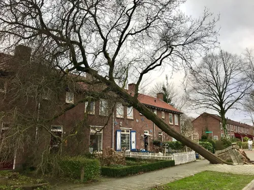 stormschade gemeente rheden 3