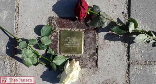 struikelstenen stationsplein dieren 2