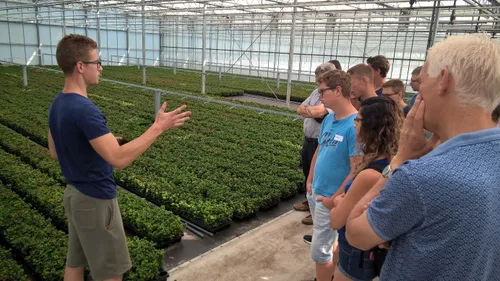 teelt 9 marc van stokkum