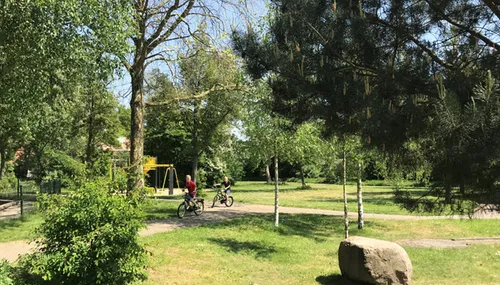 tiny forest rheden basisschool t schaddeveld dieren1