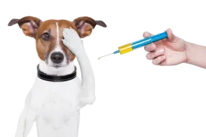 vaccinatie hond vrij 300x200